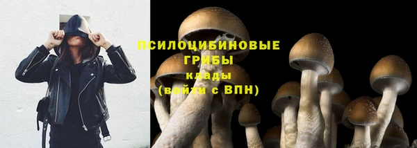 гидра Абинск